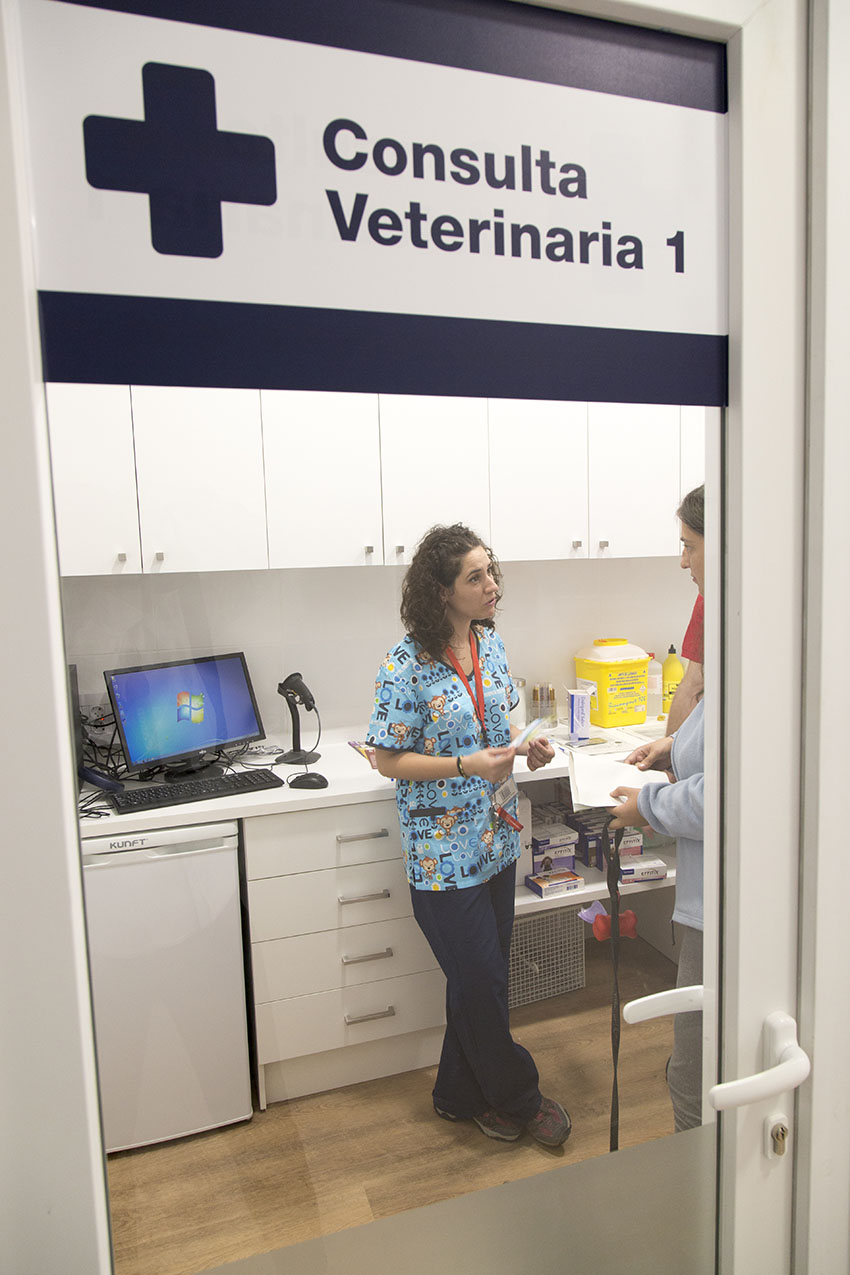 Kivet Castellon Vinaroz consulta veterinaria